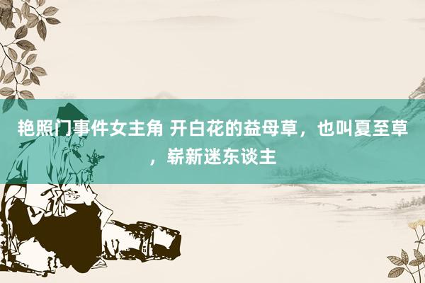 艳照门事件女主角 开白花的益母草，也叫夏至草，崭新迷东谈主