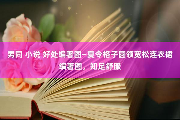 男同 小说 好处编著图—夏令格子圆领宽松连衣裙编著图，知足舒服