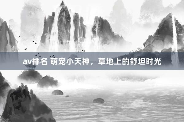 av排名 萌宠小天神，草地上的舒坦时光
